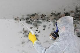 Mold Remediation for Rental Properties in Granger, WA